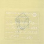 Mo Ganji - 191-Guinea Pig-Back