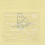 Mo Ganji - 198-Brown-Back