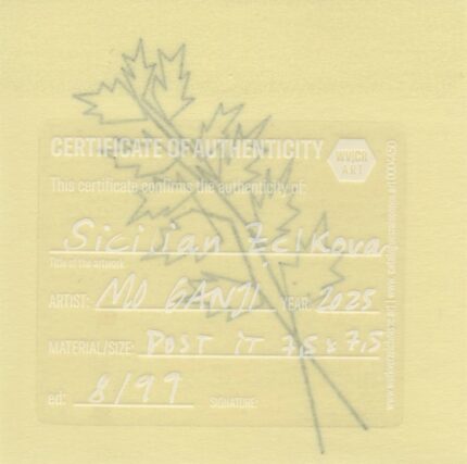 Mo Ganji - 200-Zelkova-Back