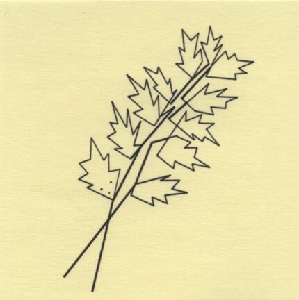 Mo Ganji - 200-Zelkova-Front