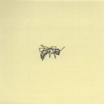 Mo Ganji - 205-Bee-Front