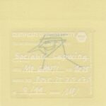 Mo Ganji: Sociable Lapwing | Steppenkiebitz | Vanellus gregarius | No. 206/250 from work group 8/99 - Image 2
