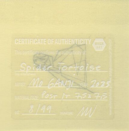 Mo Ganji - 209-Tortoise-Back