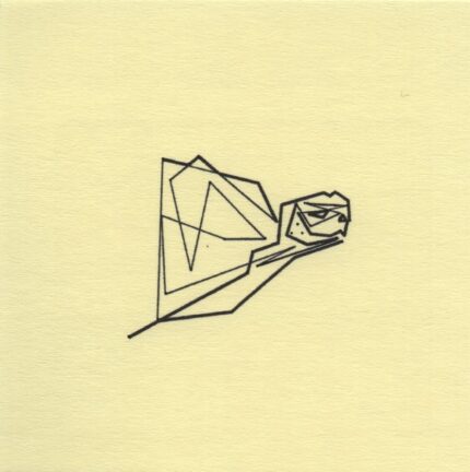 Mo Ganji - 209-Tortoise-Front