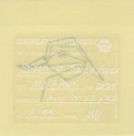 Mo Ganji - 210-Sandpiper-Back