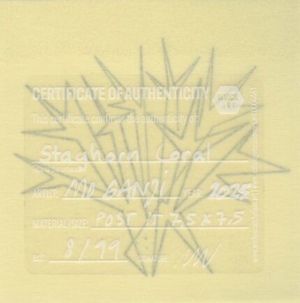 Mo Ganji - 211-Coral-Back