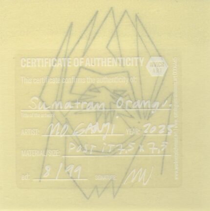 Mo Ganji - 215-Orangutan-Back