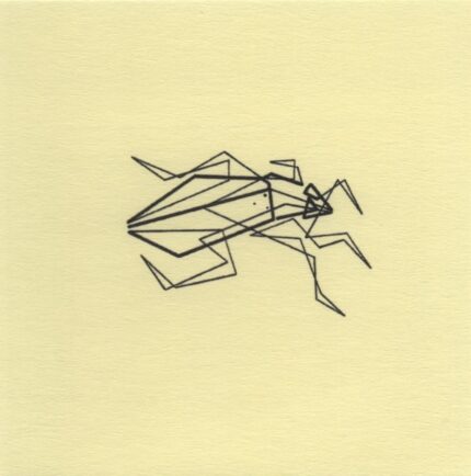 Mo Ganji - 225-Beetle-Front