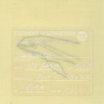 Mo Ganji - 231-Vaquita-Back