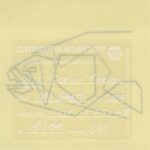 Mo Ganji - 236-Coelacanth-Back