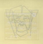 Mo Ganji - 237-Chimpanzee-Back
