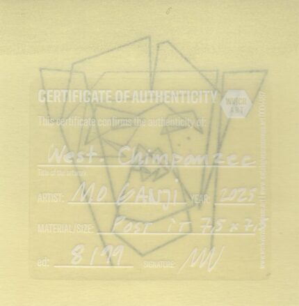 Mo Ganji - 237-Chimpanzee-Back