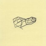Mo Ganji - 239-Turtle-Front