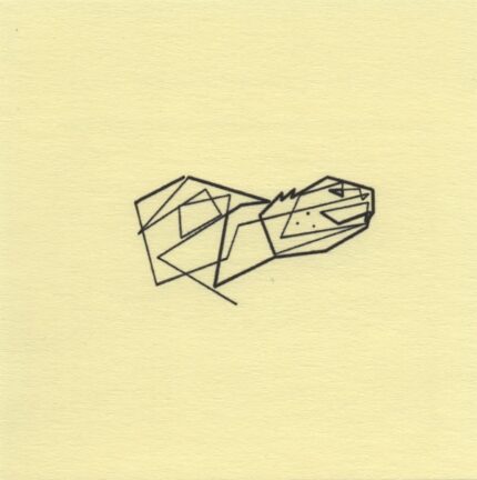 Mo Ganji - 239-Turtle-Front