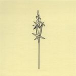 Mo Ganji - 241-Kuahiwi-Front