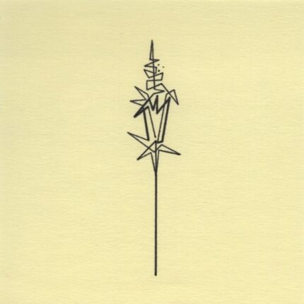 Mo Ganji - 241-Kuahiwi-Front