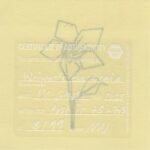 Mo Ganji - 242-Gardenia-Back