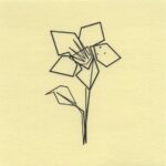 Mo Ganji - 242-Gardenia-Front