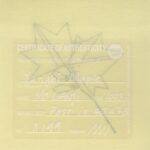 Mo Ganji - 243-Maple-Back