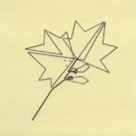 Mo Ganji - 243-Maple-Front