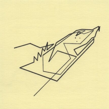 Mo Ganji - 245-Turtle-Front