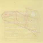 Mo Ganji - EX 003-Tortoise-Back