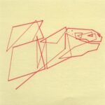 Mo Ganji - EX 003-Tortoise-Front