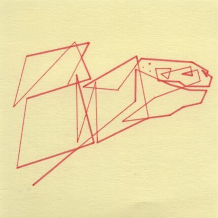 Mo Ganji - EX 003-Tortoise-Front