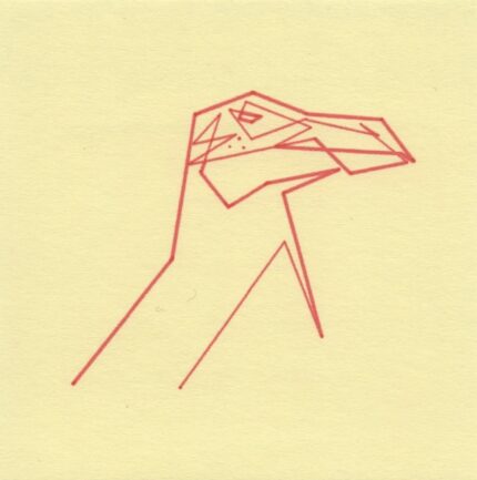 Mo Ganji - EX 004-Auk-Front